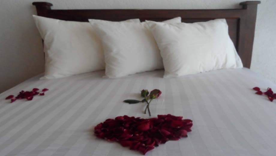 Luxury & Comfort 