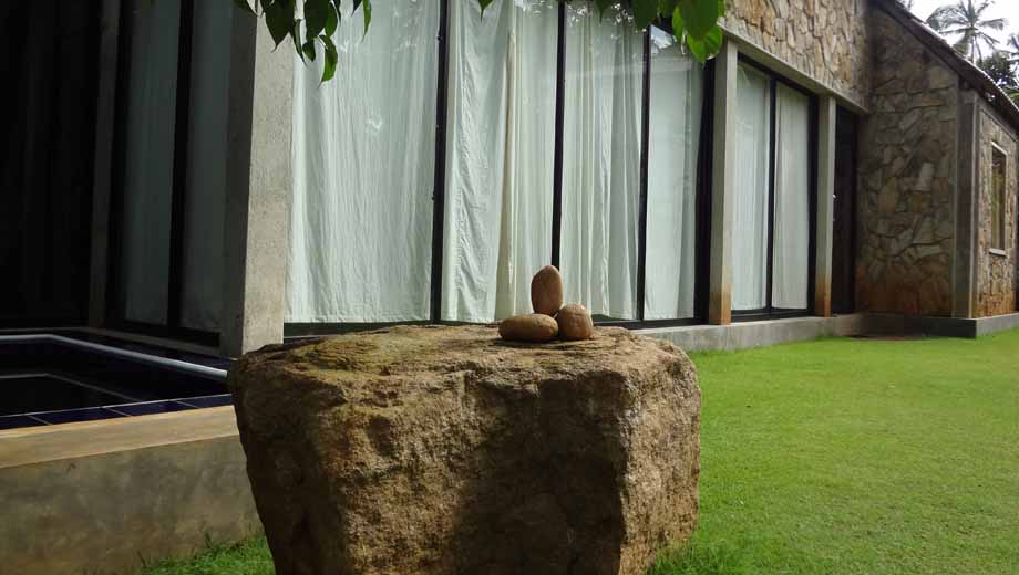 Spacious Garden